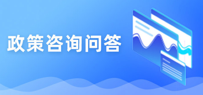 政策咨询