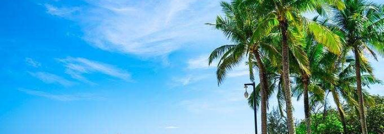 中国侨商投资（海南）大会世界侨商海南行活动举行 